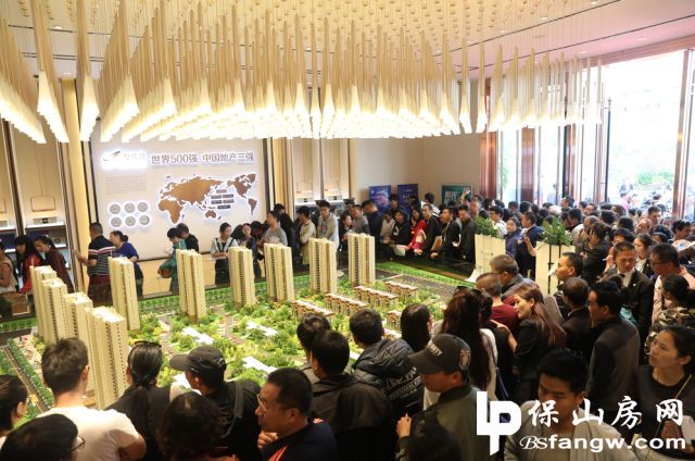 云南保山碧桂园示范区荣耀盛启